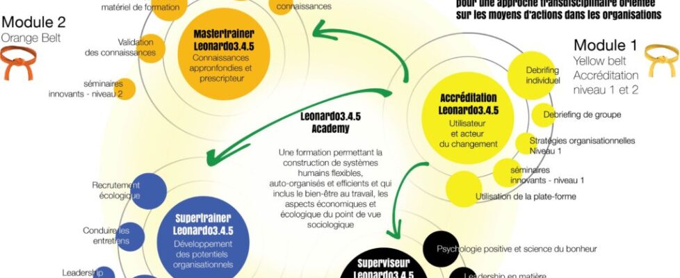 PLAN_LEONARDO_ACADEMY_4_LEVELS_DOUBLE_PAGE_NEW